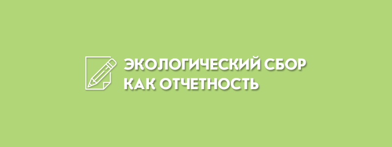Как отчитываться за экологический сбор в 2023 году