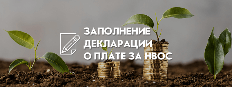 Стоимость разработки проекта ПНООЛР