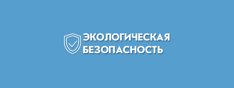 Стоимость разработки проекта ПНООЛР