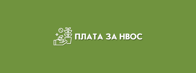 Плата за НВОС 2023